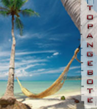 Topangebote